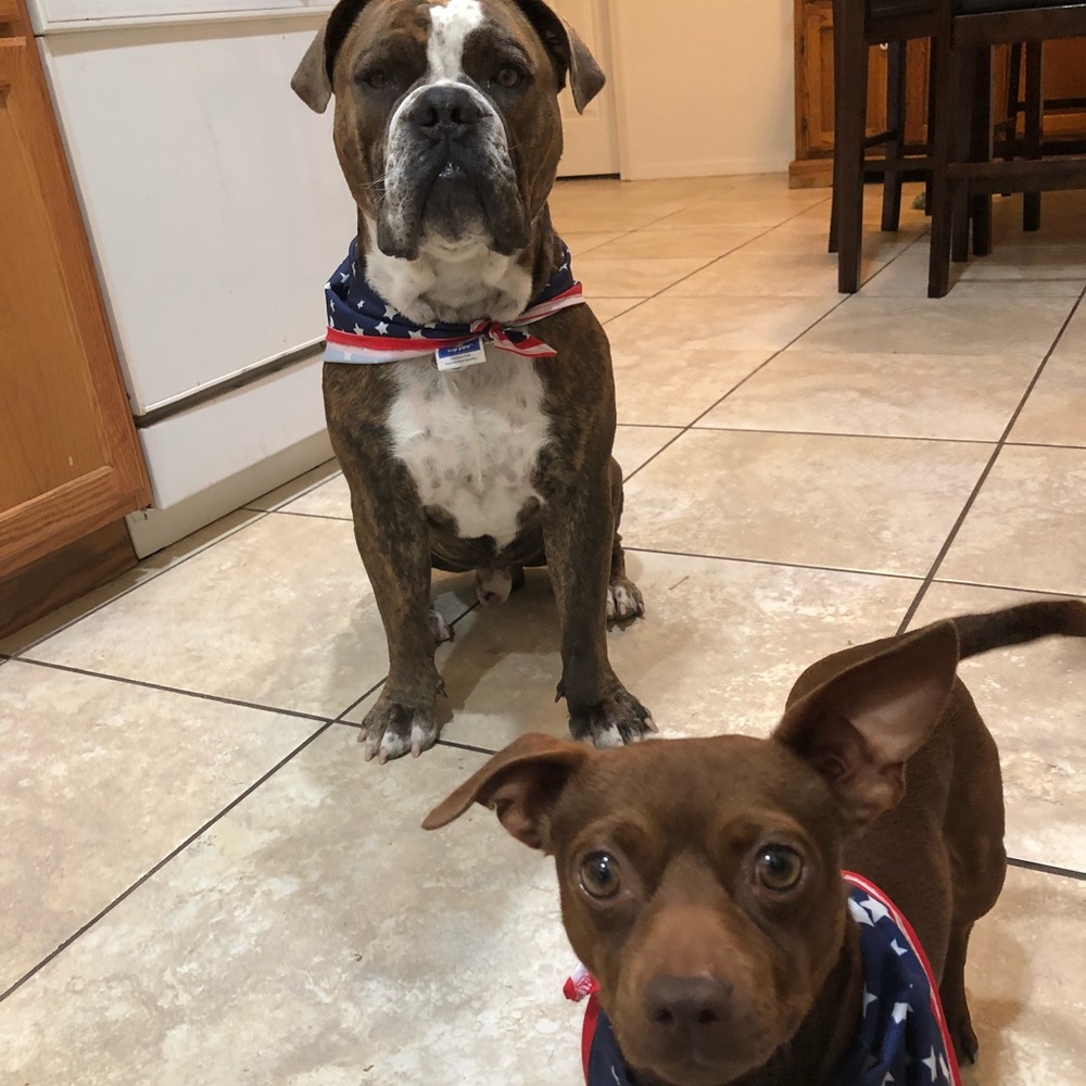 ‼️CLOSET REOPENED ‼️